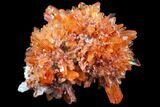 Orange Creedite Crystal Cluster - Durango, Mexico #79385-1